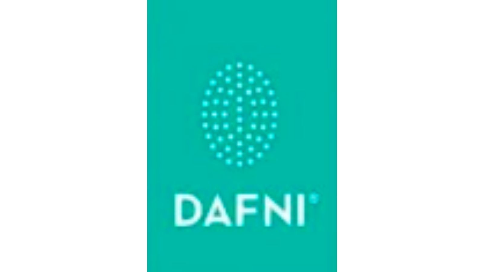 DAFNI，世界第一款直發(fā)梳