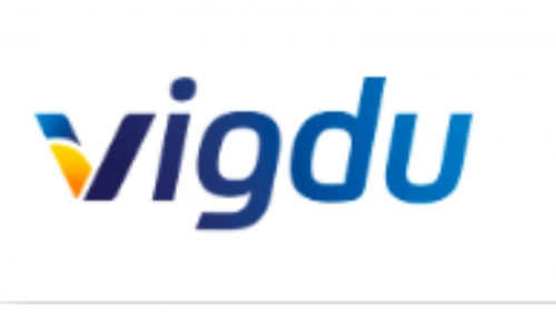Vigdu，提升光伏效率的解決方案
